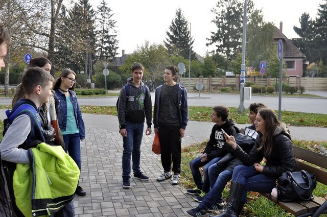 csibetábor az aranyban 05